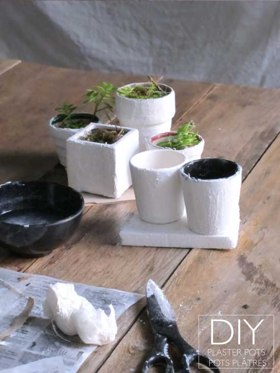 DIY Plaster Flower Plant