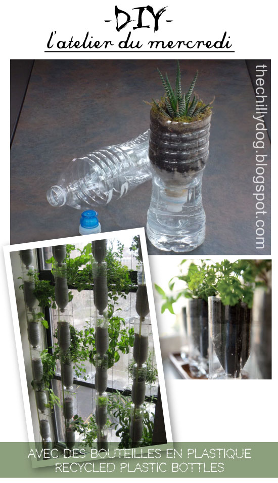 DIY Recycled Plastic Bottles