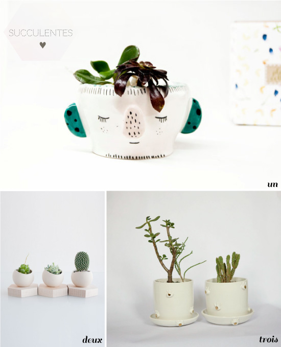 petits pots de succulentes {shopping}