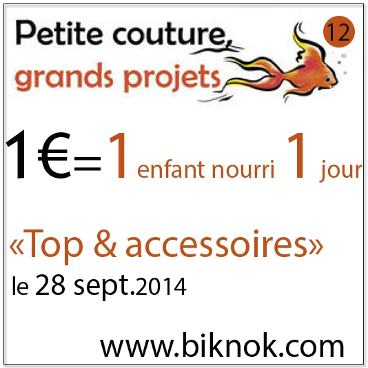 Petite couture, grands projets
