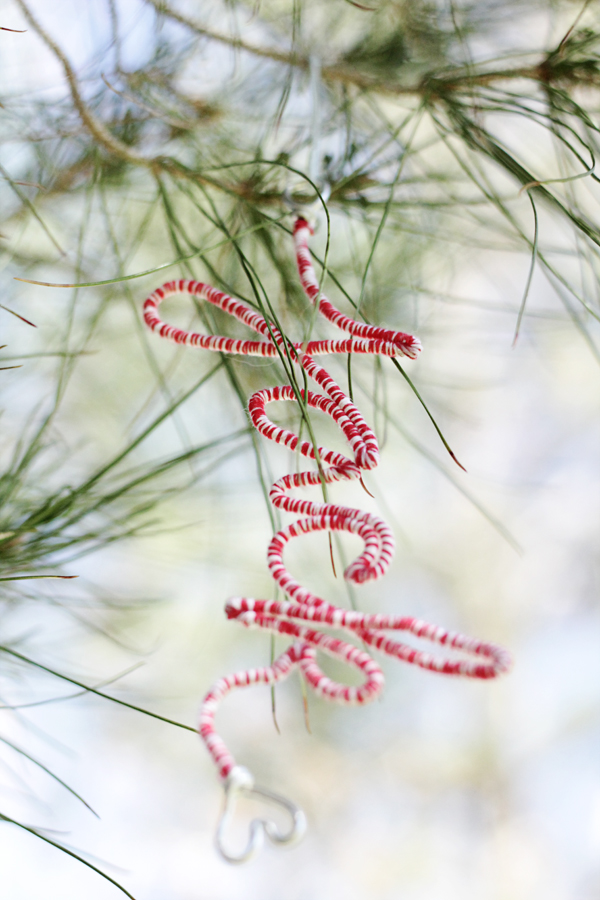 Personalized Wire Craft Ornaments // Crafts unleashed