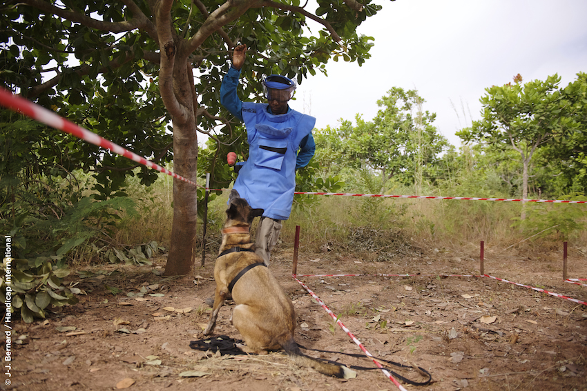 Déminage au Sénégal © J-J Bernard / Handicap International