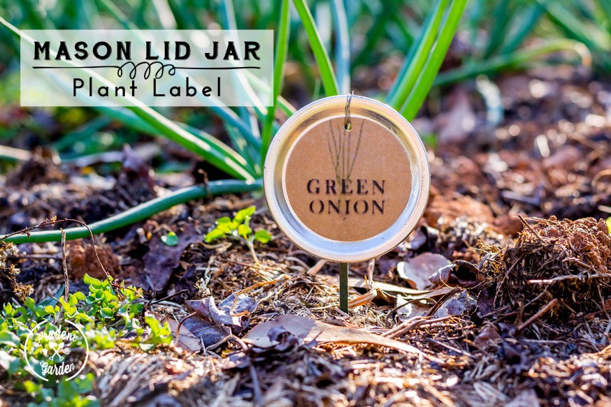 jar-lids-plant-label