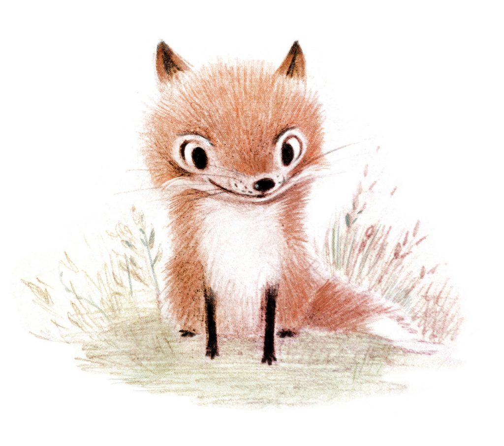 fox-pentwaterpaper-etsy
