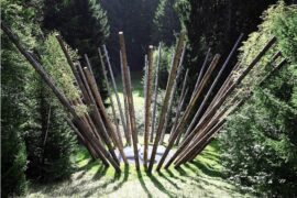 Black bamboo, Nils Udo