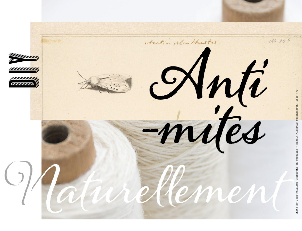https://www.plumetismagazine.net/medias/2020/05/diy-anti-mites-naturel-moth-repellent-1200x918.jpg