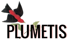 Plumetis Magazine